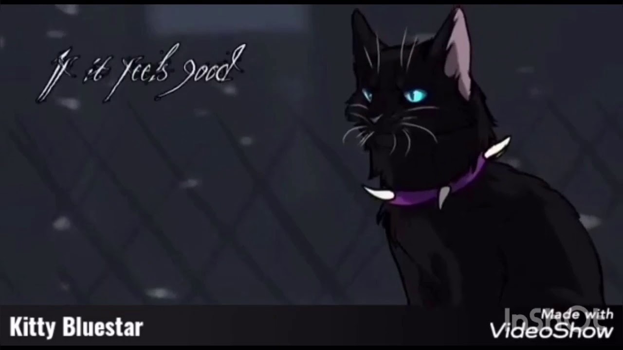 Коты воители бич путь к власти манга читать с картинками