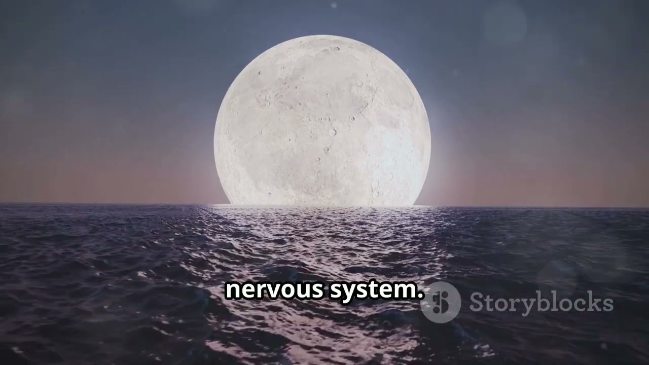 Moon Gazing Demystified: Ancient Rituals and Modern Meanings