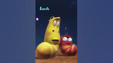 Larva Season 1 Ep 102 Mid Autumn Festival HD 