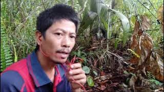 TORIMO OKU NO - SITIM BANDARON../(COVER BY AS..IR.)