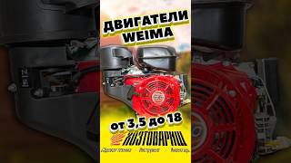 Двигатели Weima в магазинах Хозтоварищ