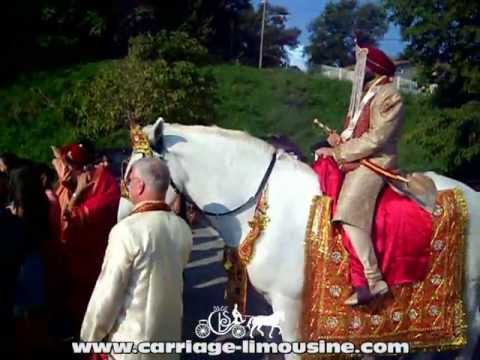 Indian Baraat Horse -- Indian Wedding Horse 8d -- Carriage LimWedding contestsine Service