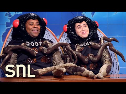 Weekend Update: Two Cicadas On The Largest Cicada Emergence - Snl