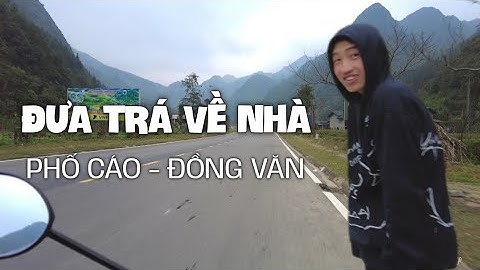 Đưa Trá về nhà và bị bất ngờ với cung đường đẹp như Thuỵ Sỹ từ Phố Cáo đi Đồng Văn