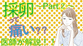 体外受精シリーズ2 採卵って痛い Part 医師が解説 Ivf大阪クリニック Positive 妊活 シリーズ Youtube
