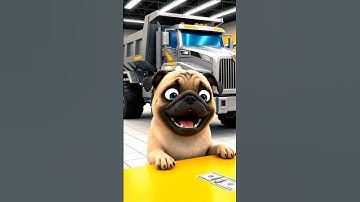 Unboxing & Testing the Transforming Dump Truck Robot with Pug Dog | Collector