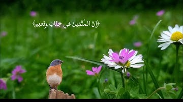 إن المتقين في جنات ونعيم (سورة الطور)