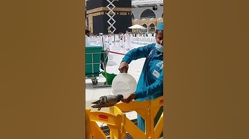 وإذا جاءتهم آية قالوا لن نؤمن حتى نؤتى مثل ما أوتي رسل الله #سورة_الأنعام #الشيخ_سعود_الشريم