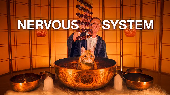 PARASYMPATHETIC NERVOUS SYSTEM RESET - Tibetan Singing Bowl Sound Bath