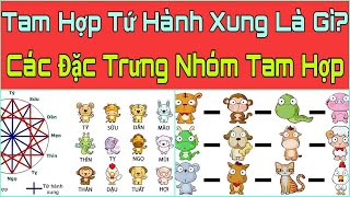 TAM HỢP TỨ HÀNH XUNG Là Gì? Các Tuổi Tam Hợp. Các Tuổi Tứ Hành Xung. Nét Đặc Trưng Của Nhóm Tam Hợp.