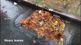 The Bronx Green Infrastructure Team Cleaning Storm Drains In NYC  (E.3)