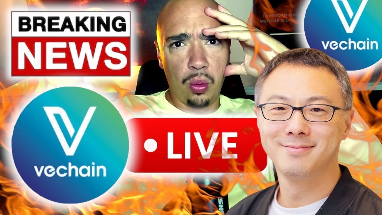 Is VeChain The Next Big Crypto Winner?