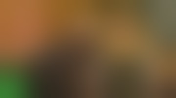 The Witcher 3: Wild Hunt - “Precious Cargo” quest