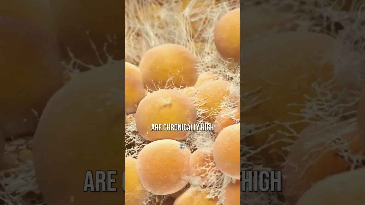 Carbohydrates Are NOT Good For You!