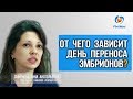 🔴 ЭКО. От чего зависит день переноса эмбрионов? Сколько эмбрионов лучше для переноса?