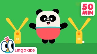 BINGO THE DOG 🐶 More Popular Songs for Kids | Lingokids