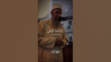 الشيخ سمير عومر ماتيسر من سورة سبا