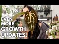 Even more growth updates I forgot to show you 🤠