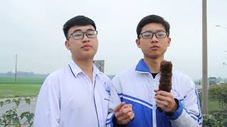 Mô hình phát điện trên đường cao tốc - Hội thi KHKT Cấp Quốc gia năm học 2017-2018