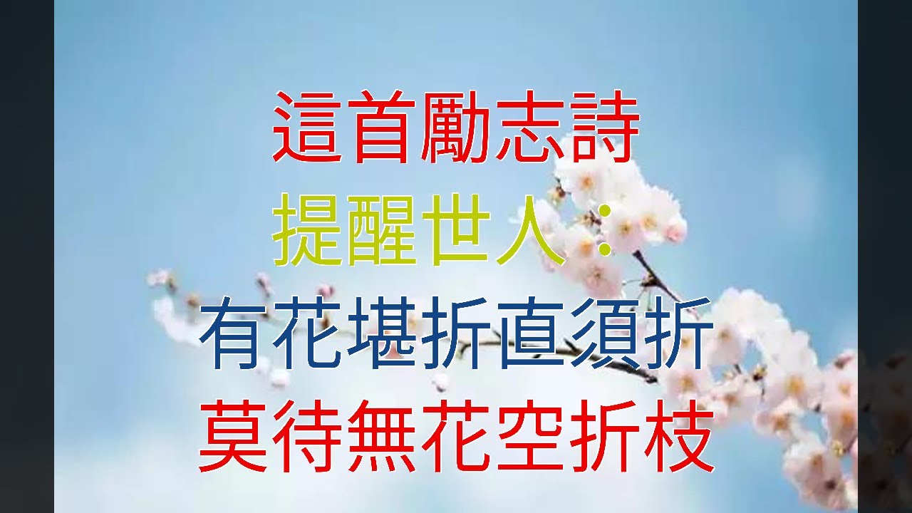 這首勵志詩 提醒世人 有花堪折直須折 莫待無花空折枝 Youtube 這首勵志詩 提醒世人 有花堪折直須折 莫待無花空折枝 Youtube
