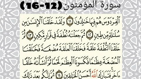 سورة المؤمنون ( 12 - 16 ) للقارئ ماهر المعيقلي