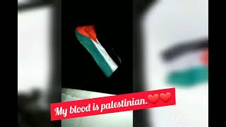 Palestine flag raising. The flag drew by me./Ana dammi falastini Resimi