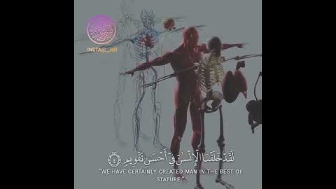 سورة التين بصوت الشيخ احمد بن علي العجمي
