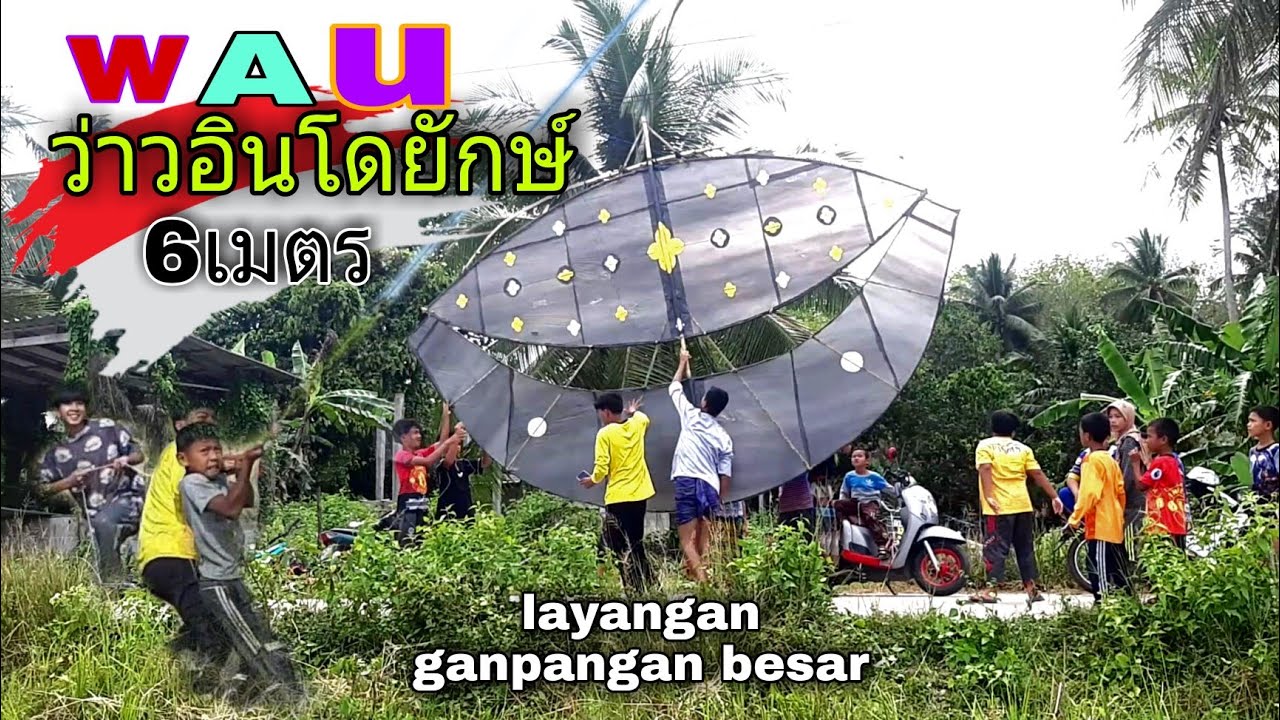 เล่นว่าวยักษ์ ว่าวอินโดยักษ์ 6เมตรเปิดตัวครั้งแรกถึงกับเชือกขาด