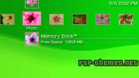 PSP Theme Hibiscus Theme PSP-Themes.NET