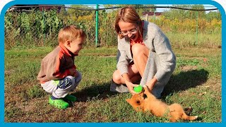 ЗАТИШЬЕ ПЕРЕД СТРОЙКОЙ. СЕНТЯБРЬ В ДЕРЕВНЕ.