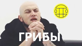 гриби кліп до 8 березня.