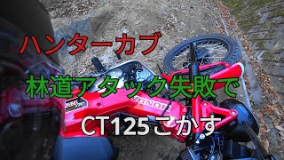 ハンターカブ【CT125】初林道！コカしてしまう