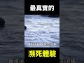 【地球旅館#shorts】史上可信度最高的穿越者！