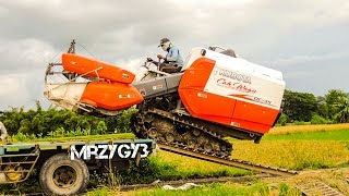 Kubota DC-35 Combine Rice Harvester Working Mesin Pemanen Padi