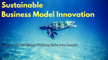 Business Model Canvas Example, Interface Case study on Sustainable Business Model Innovation