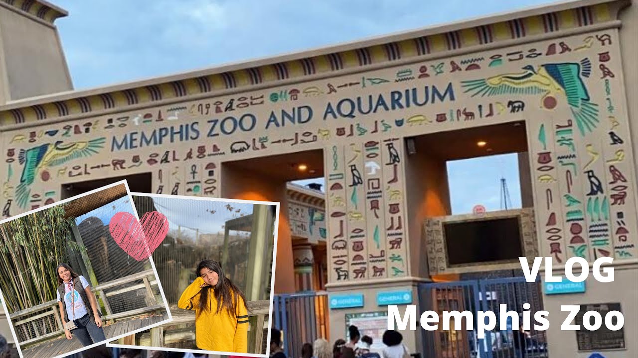Memphis Zoo and Aquarium VLOG YouTube