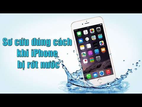 Video: Điện Thoại Rơi Xuống Nước: Phải Làm Gì, Kể Cả Khi để IPhone Trong Nhà Vệ Sinh, Nếu Thiết Bị Không Bật, Loa Không Hoạt động