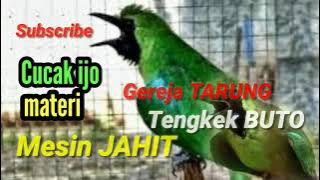 🧶Ngeri komplete mashee_cucak ijo materi_geraja_tengke buto_mesin jahit