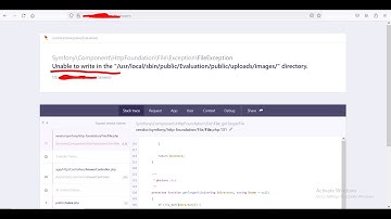 Unable to write in the "/usr/local/sbin/public..." directory for Laravel Project