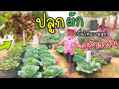 วีดีโอ: บริจาคผักสวนครัว - ไอเดียการใช้พืชผักส่วนเกิน