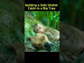 Building a Safe Shelter Cabin in a Big Tree - The Effort and New Beginning of 2 Sisters #camping#sam