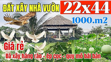 ĐẤT XÂY NHÀ VƯỜN 1000m2 - Giá Rẻ Bất Ngờ - Đã Xây Hàng Rào - Ép Cọc Kiên Cố - Quy Mô Bài Bản