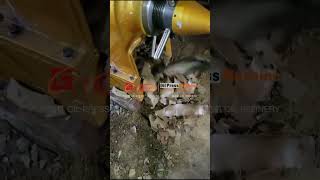Guangxin YZYX140WK Automatic Temperature Control Screw Rapeseeds Sunflower Peanut Oil Press Machine