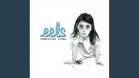 Eels - Beautiful Freak (1996 - Full Album)