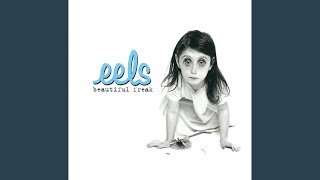 Video thumbnail of "Eels - Novocaine For The Soul"