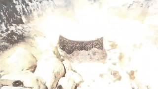 Purebred 2 - A MW2 Montage - DTreats (Reupload)