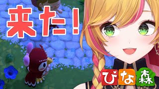 【ぴな森】 流れ星よこせ‼️‼️‼️ 【にじさんじ | セフィナ】