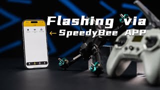 ExpressLRS Tutorial | Flashing via SpeedyBee APP screenshot 2