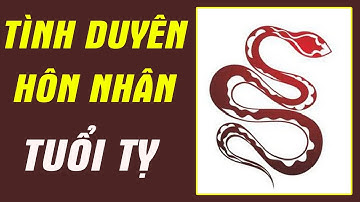 Xem Tình Duyên, Hôn Nhân Trọn Đời Của Người TUỔI TỴ | Xem Tử Vi
