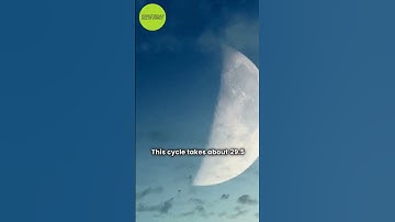 The Moon phases from Earth explanation! #moon